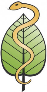 a-logo-gold